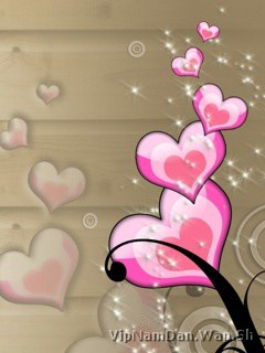 VipNamDan.wap.sh